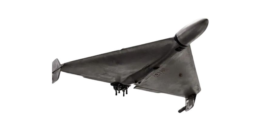 Delta Wing Loitering Munition (D-248)